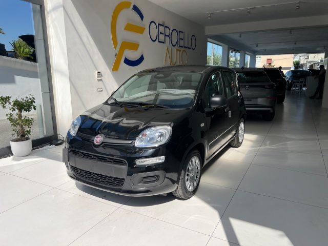 FIAT Panda 1.0 FireFly S&S Hybrid Icon tua da ?149,,00