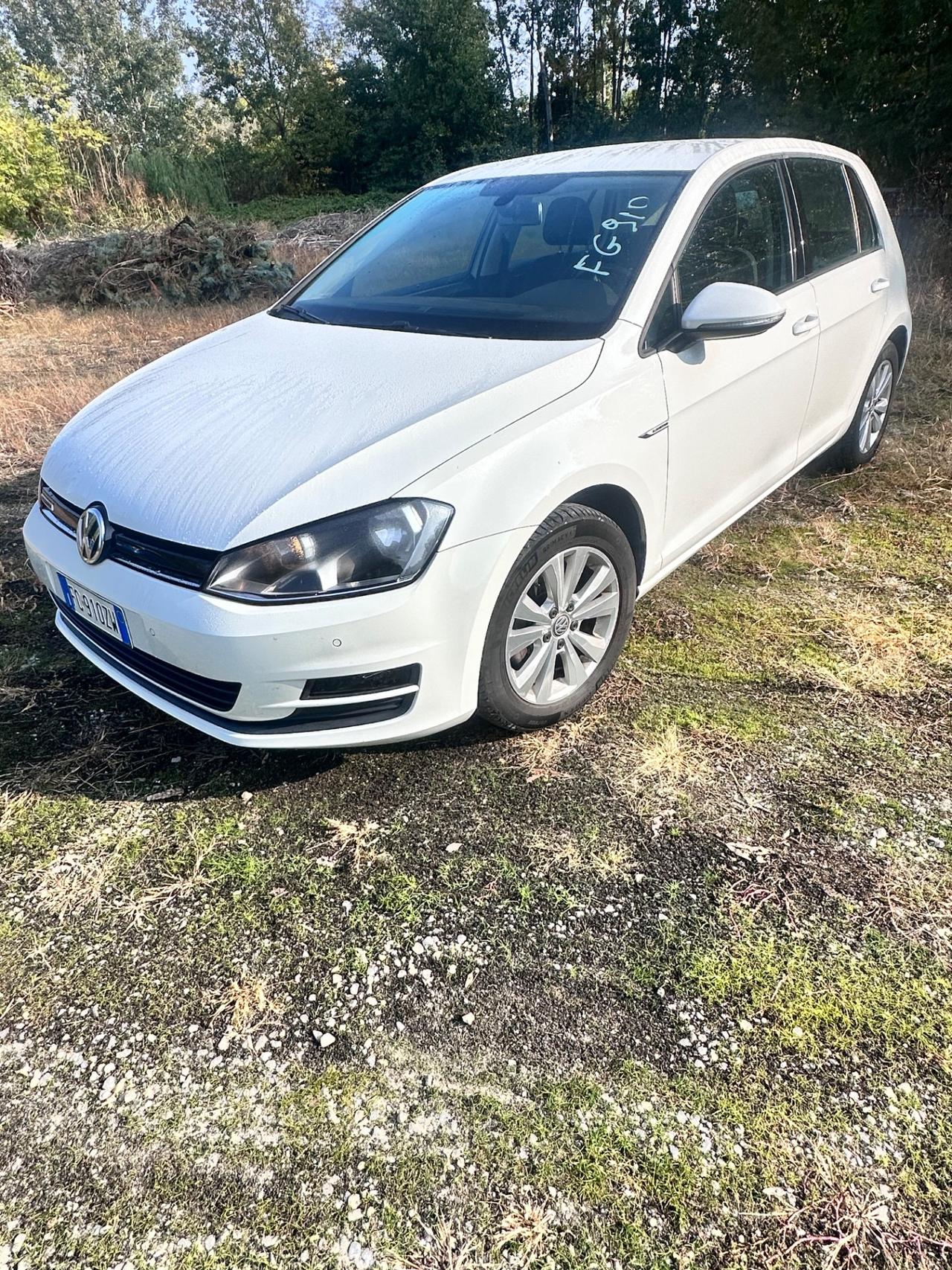 Volkswagen Golf 1.4 TGI 5p. Comfortline BlueMotion