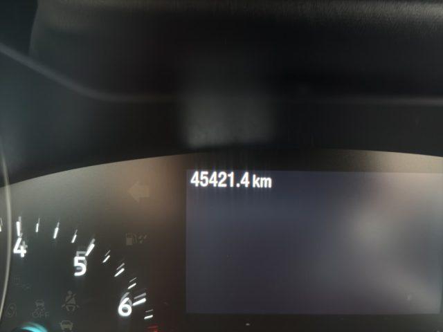 FORD Focus 1.0 EcoBoost 100 CV 5p. Business