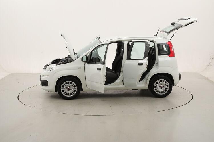 Fiat Panda Hybrid BR173885 1.0 Mild Hybrid 70CV