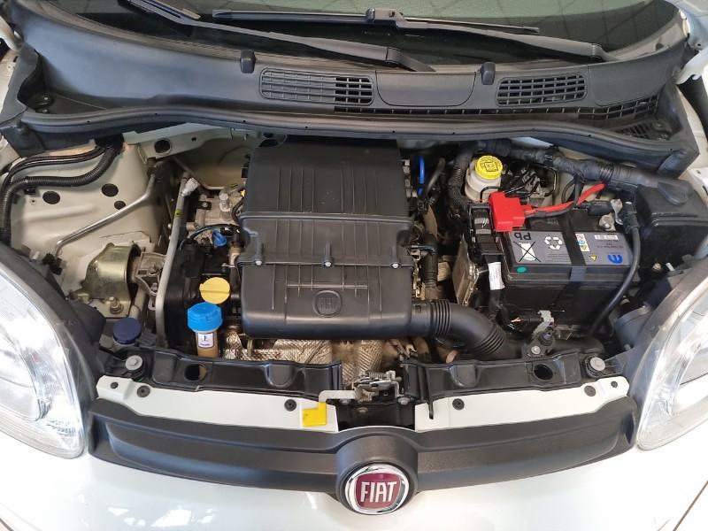 FIAT Panda 3ª serie Panda 1.2 Pop