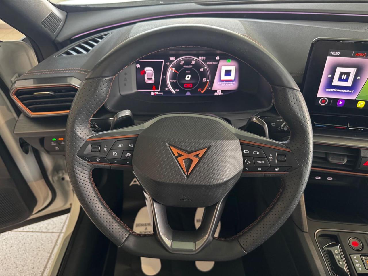 CUPRA Formentor 2.0 TDI 4Drive DSG - TELECAMERA!