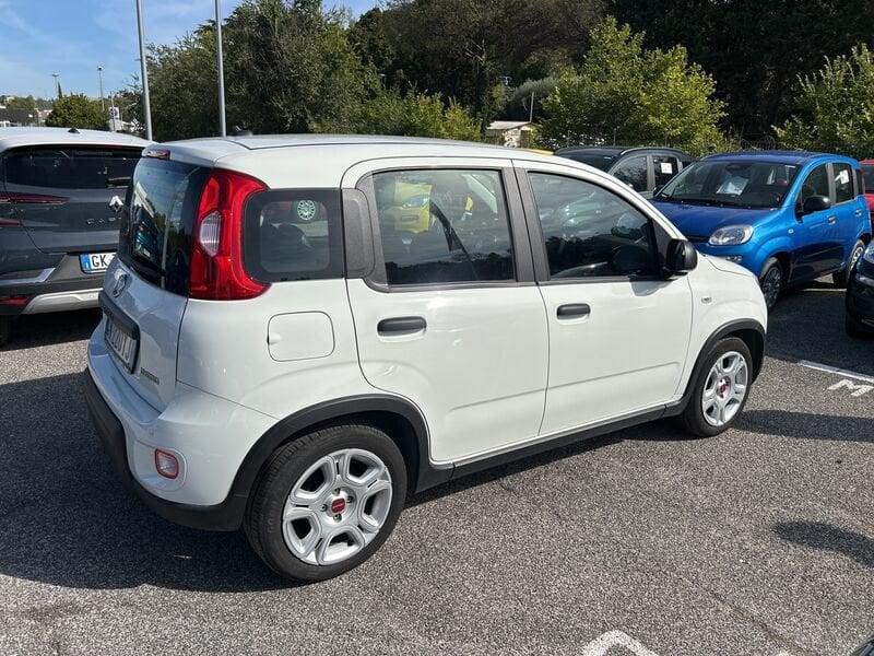 FIAT Panda New My23 1.0 70cv Hybrid Panda