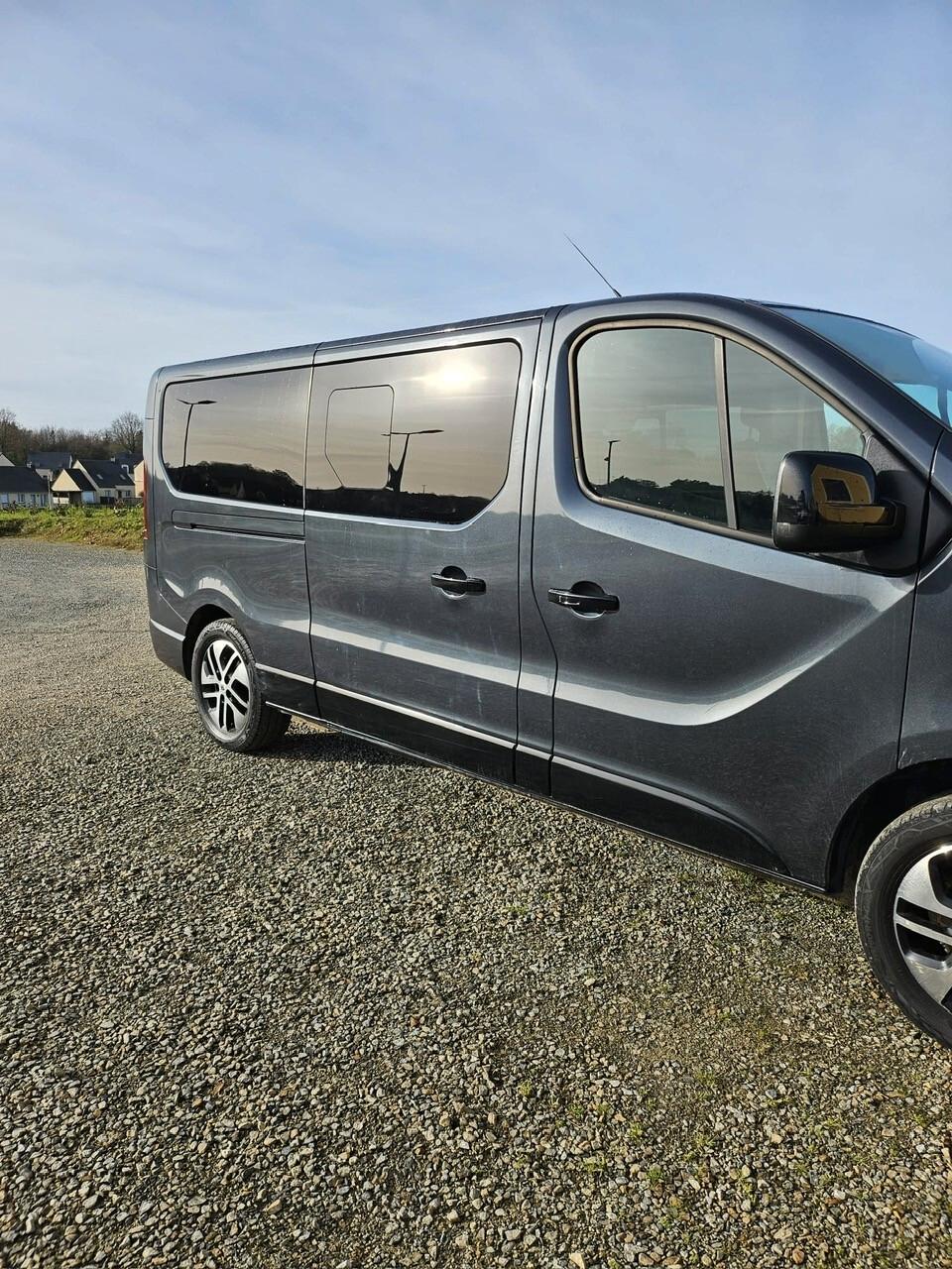 Renault Trafic INTERNI IN PELLE