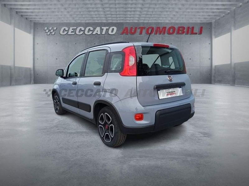 FIAT Panda Panda 1.0 firefly hybrid City Life s&s 70cv 5p.ti