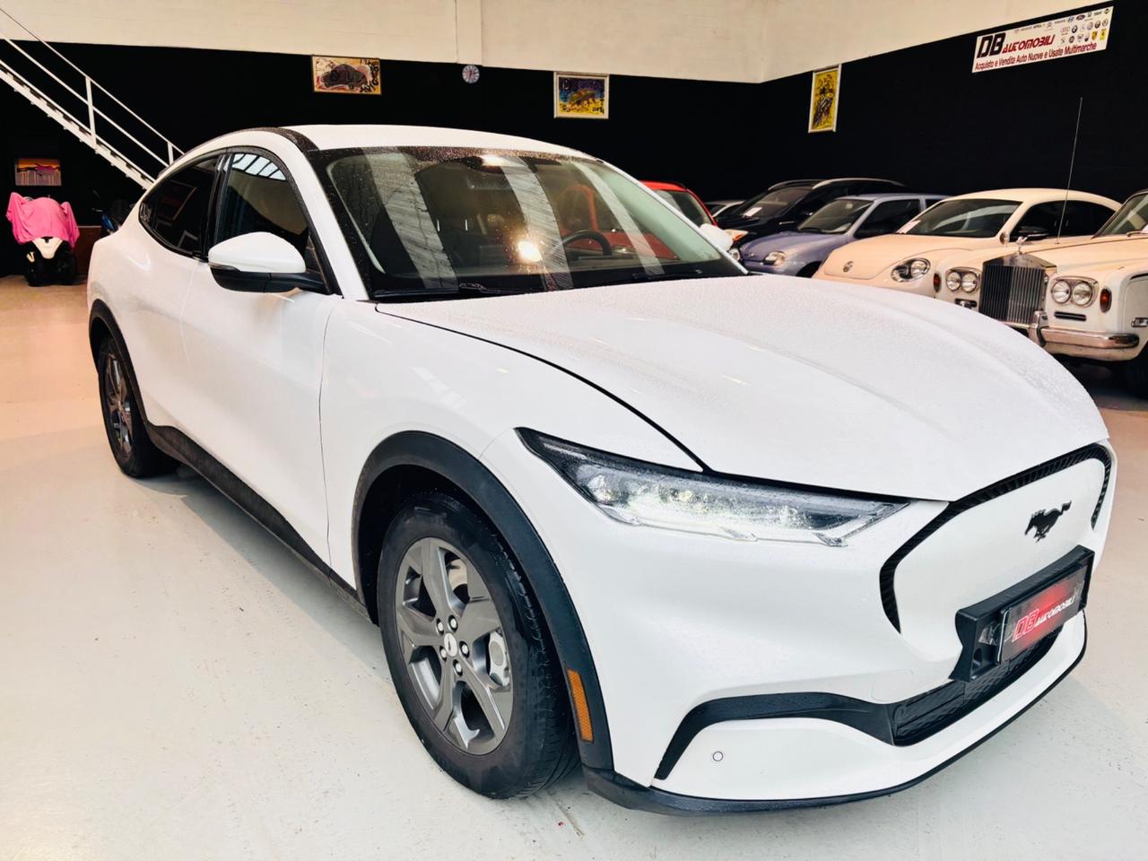 Ford Mustang Mach-E Elettrico Extended 294CV