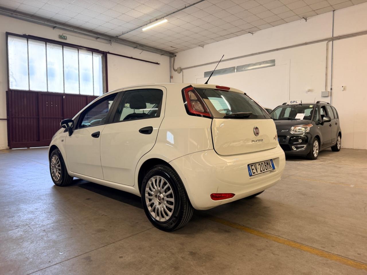 Fiat Punto 1.2 8V 5 porte Street