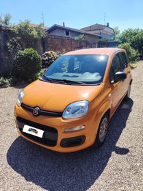 Fiat Panda 1.2 Easy UNICO PROPRIETARIO