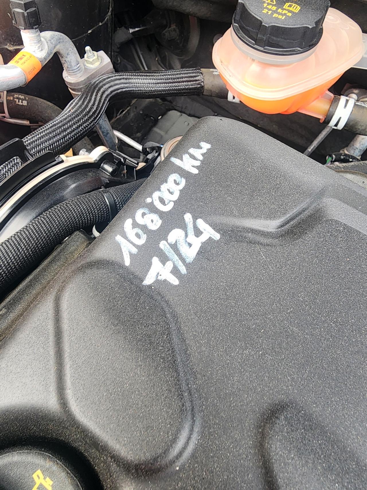 Ford Focus 2.0 EcoBlue 120 CV automatico SW ST-Line Co-Pilot - 2020