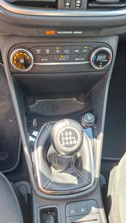 Ford Fiesta 1.0 Ecoboost 100 CV 5 porte Titanium