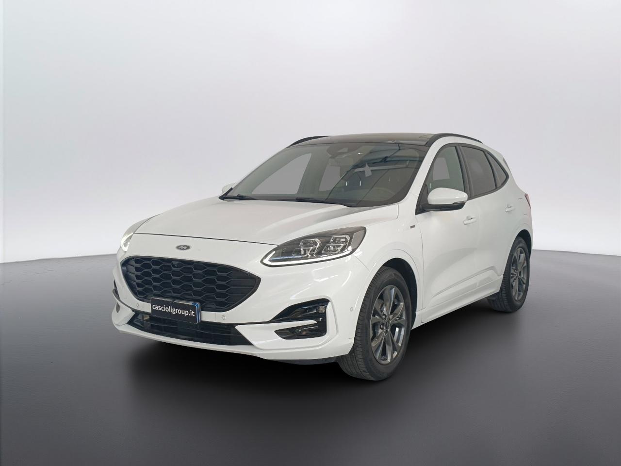 FORD Kuga III 2020 - Kuga 1.5 ecoblue ST-Line X 2wd 120cv