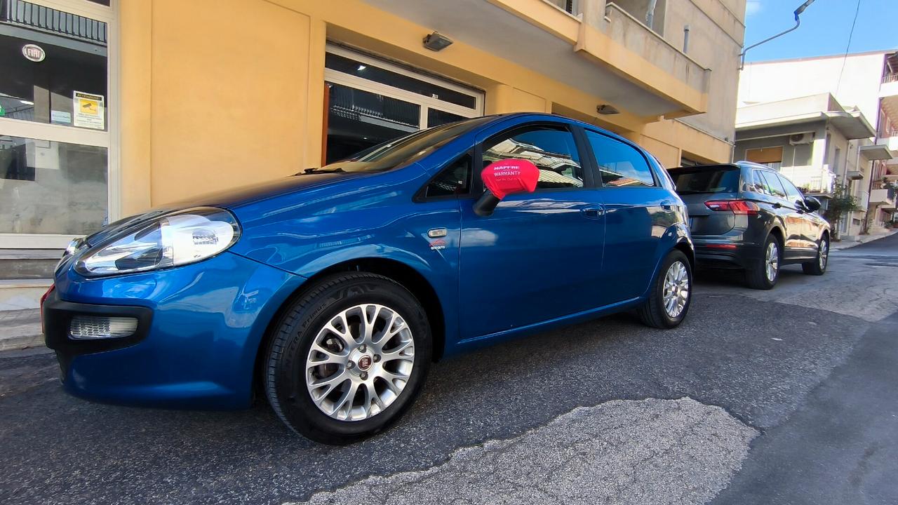 Fiat Punto Evo Punto Evo 1.2 5 porte Dynamic