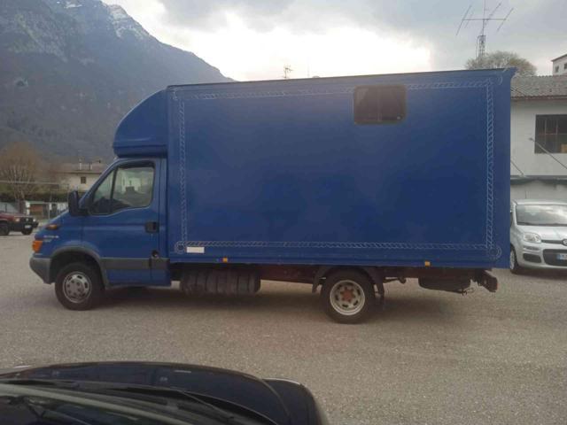 IVECO Daily 35C12 2.3 Hpi Trasporto Cavalli Patente B !!!