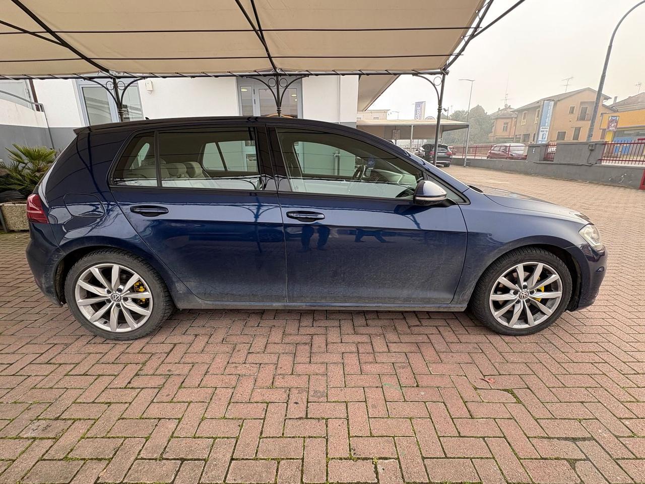 Volkswagen Golf Executive 2.0 TDI BlueMotion #9473