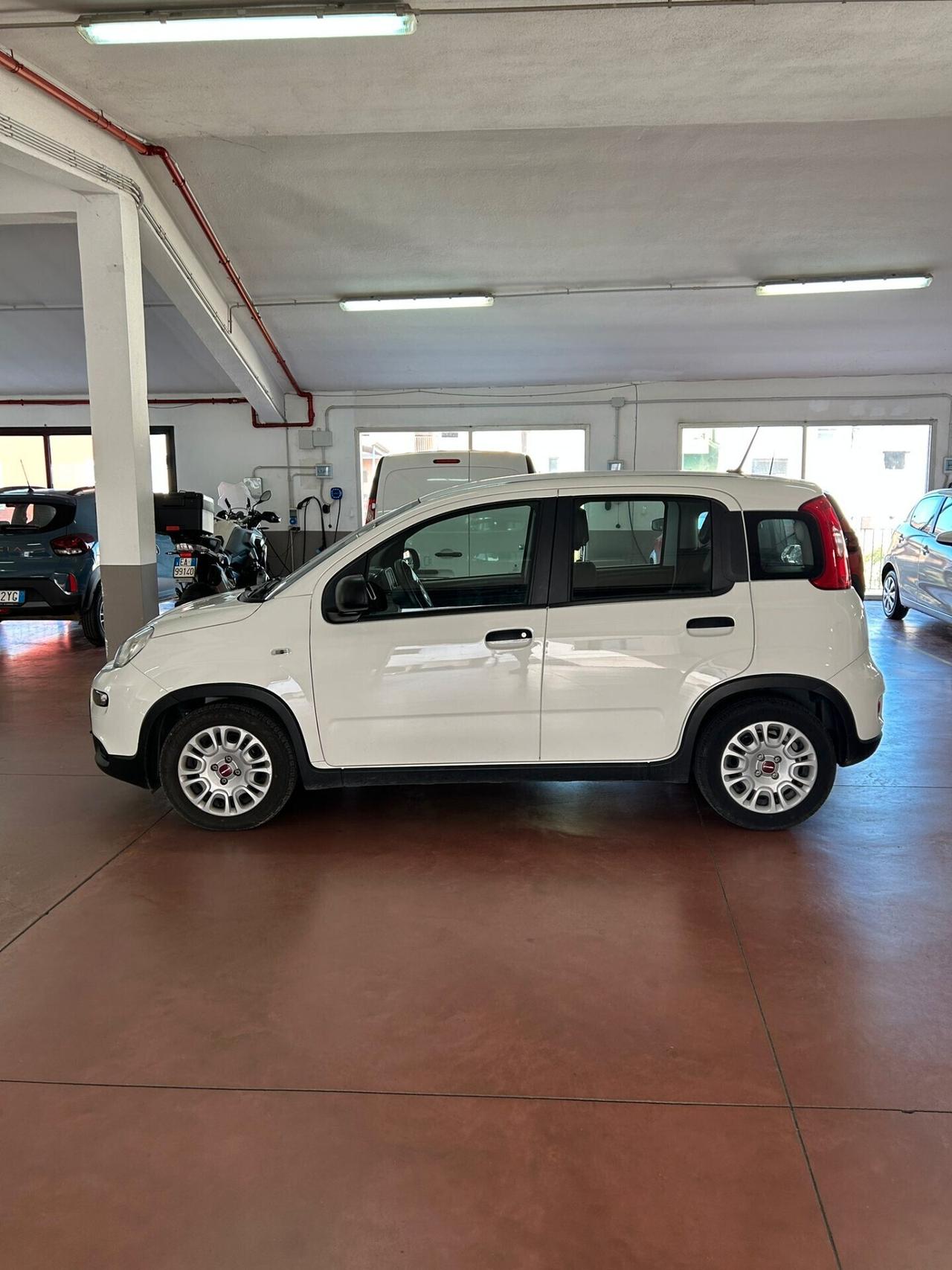 Fiat Panda 1.0 FireFly S&S Hybrid