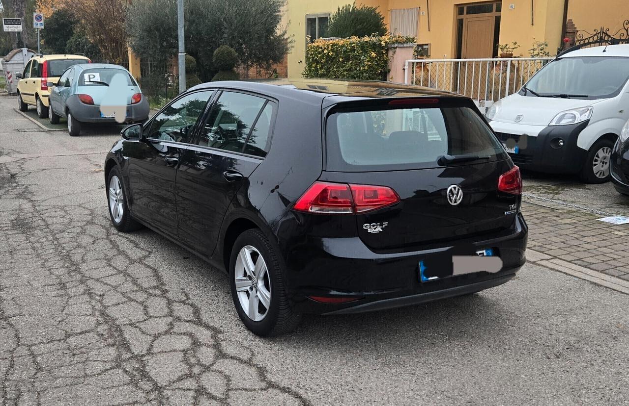 Volkswagen Golf Business 1.4 TGI 5p. Highline BlueMotion
