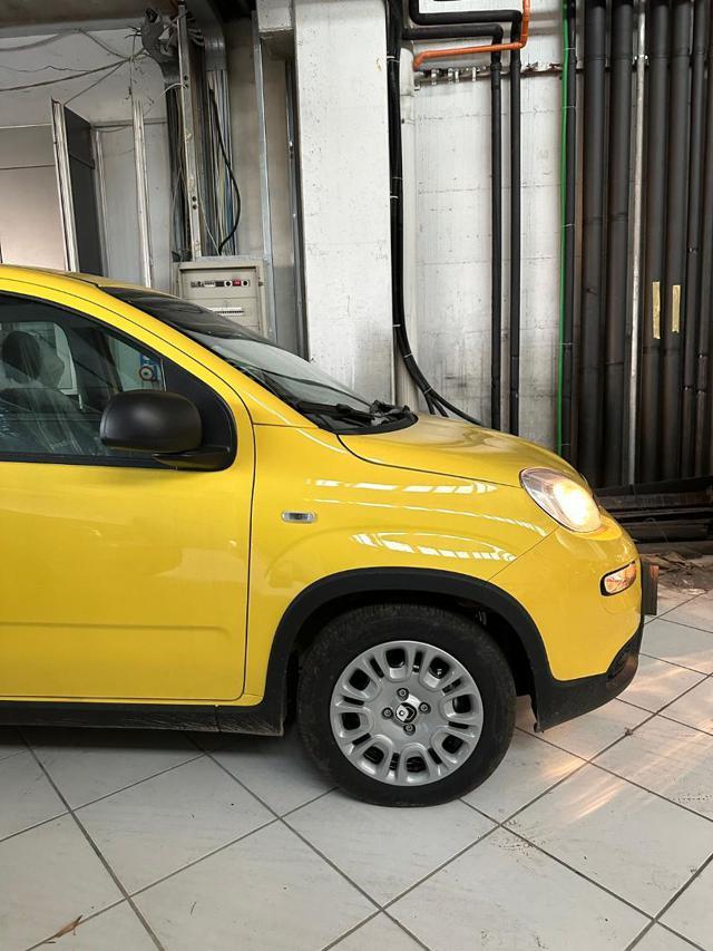 FIAT Panda Panda 1.0 HYBRID 51KW