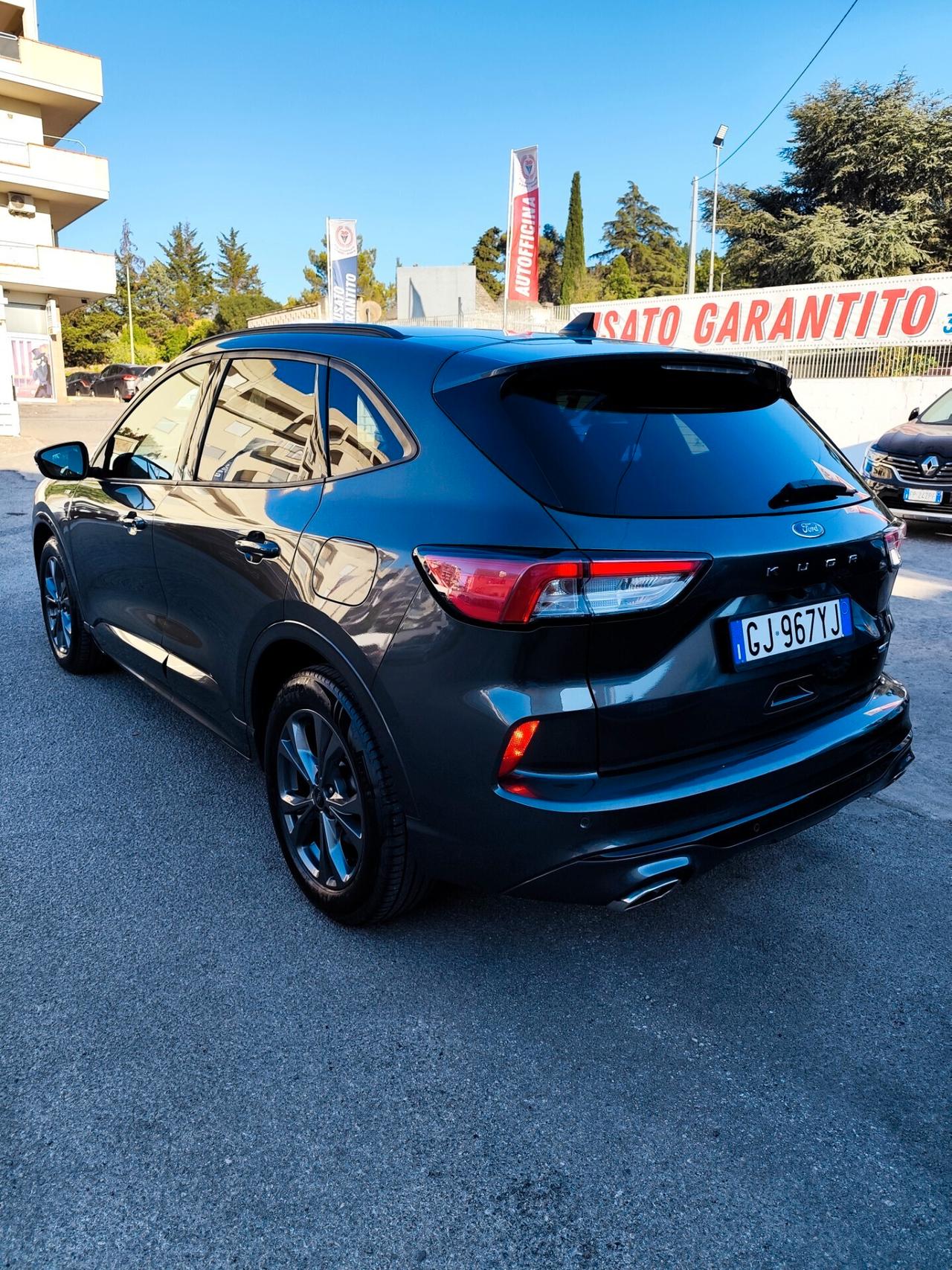 Ford Kuga 2.0 EcoBlue Hybrid 150 CV 2WD ST-Line