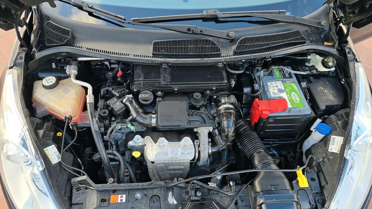 Ford Fiesta 1.4 TDCi 68CV 5 porte Titanium