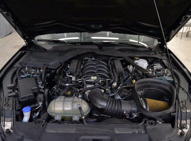 FORD Mustang Fastback 5.0 V8 TiVCT GT Bullitt Ufficiale Italia