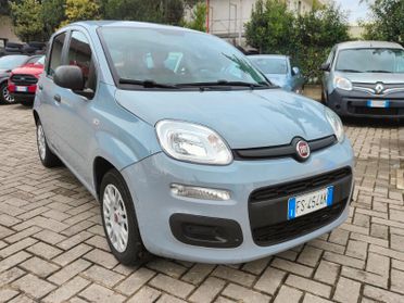 FIAT Panda 3ª serie Panda 1.2 Easy