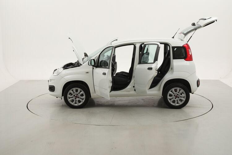 Fiat Panda Easy Natural Power BR105235 0.9 Metano 85CV