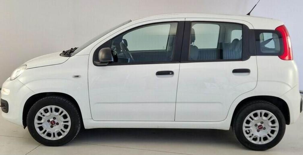 Fiat Panda 1.2 Easy benzina 69 cv E6 "DISPONIBILE"