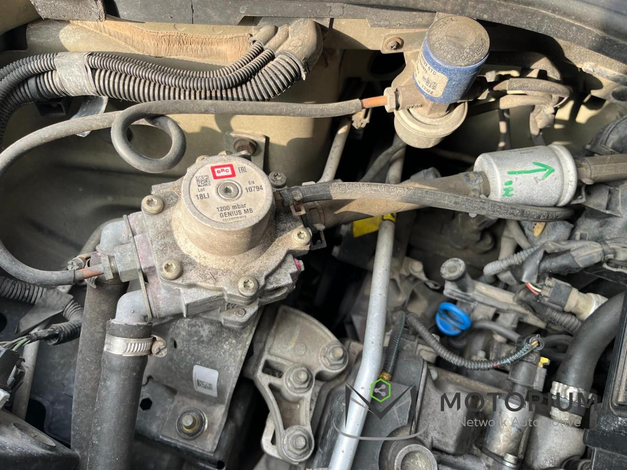 Fiat Panda 1.2 Lounge 69cv GPL