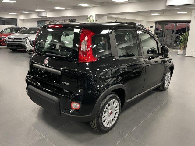 FIAT Panda 1.0 Hybrid 70 CV KM0 MY24