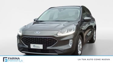 FORD Kuga III 2020 - Kuga 1.5 ecoblue Connect 2wd 120cv