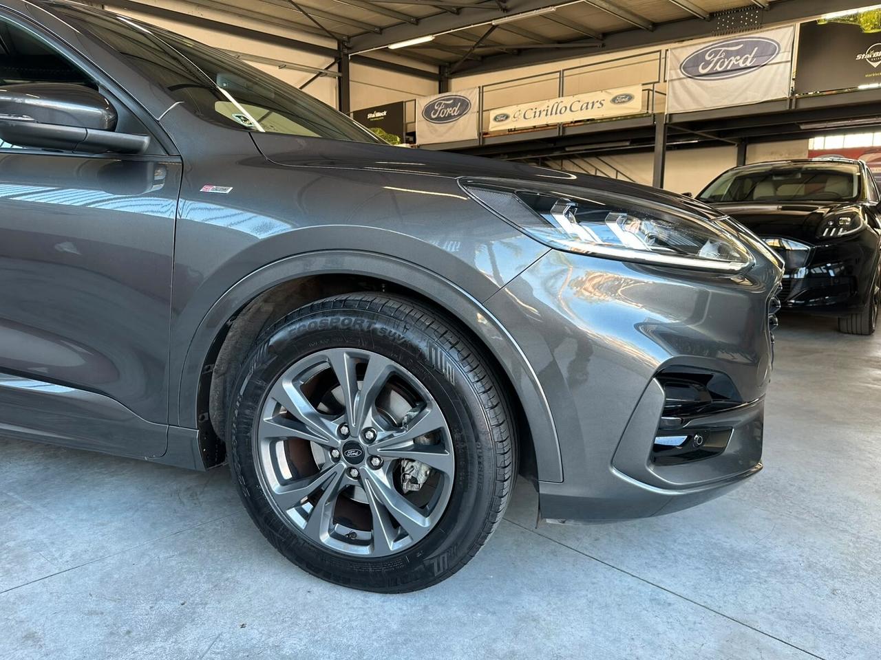 Ford Kuga 1.5 EcoBlue 120CV 2WD ST-Line