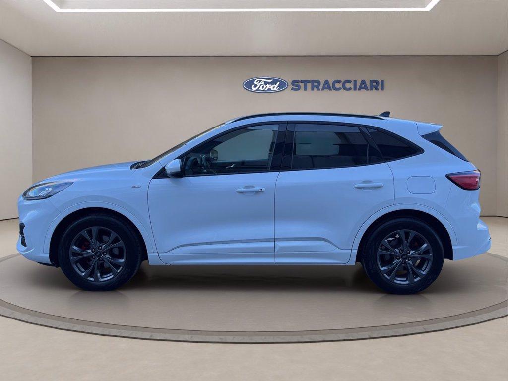 FORD Kuga 1.5 ecoblue ST-Line 2wd 120cv auto del 2022