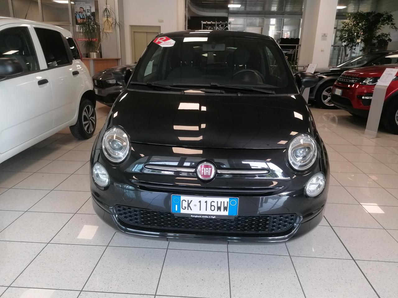 Fiat 500 1.0 hybrid Cult 70cv