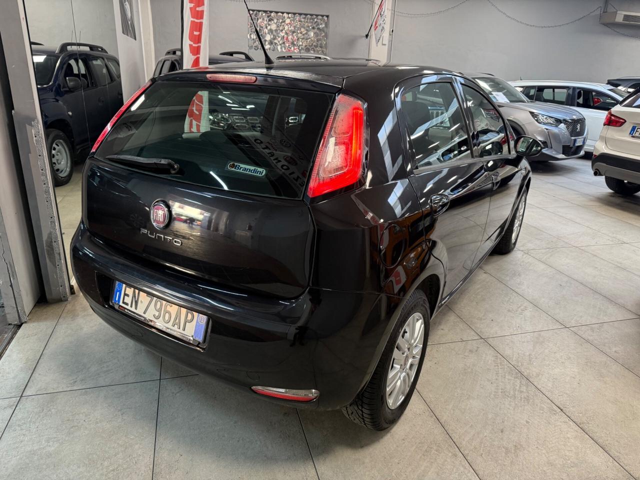 Fiat Punto 1.2 8V 5 porte Lounge 69CV Ok Neopatentati