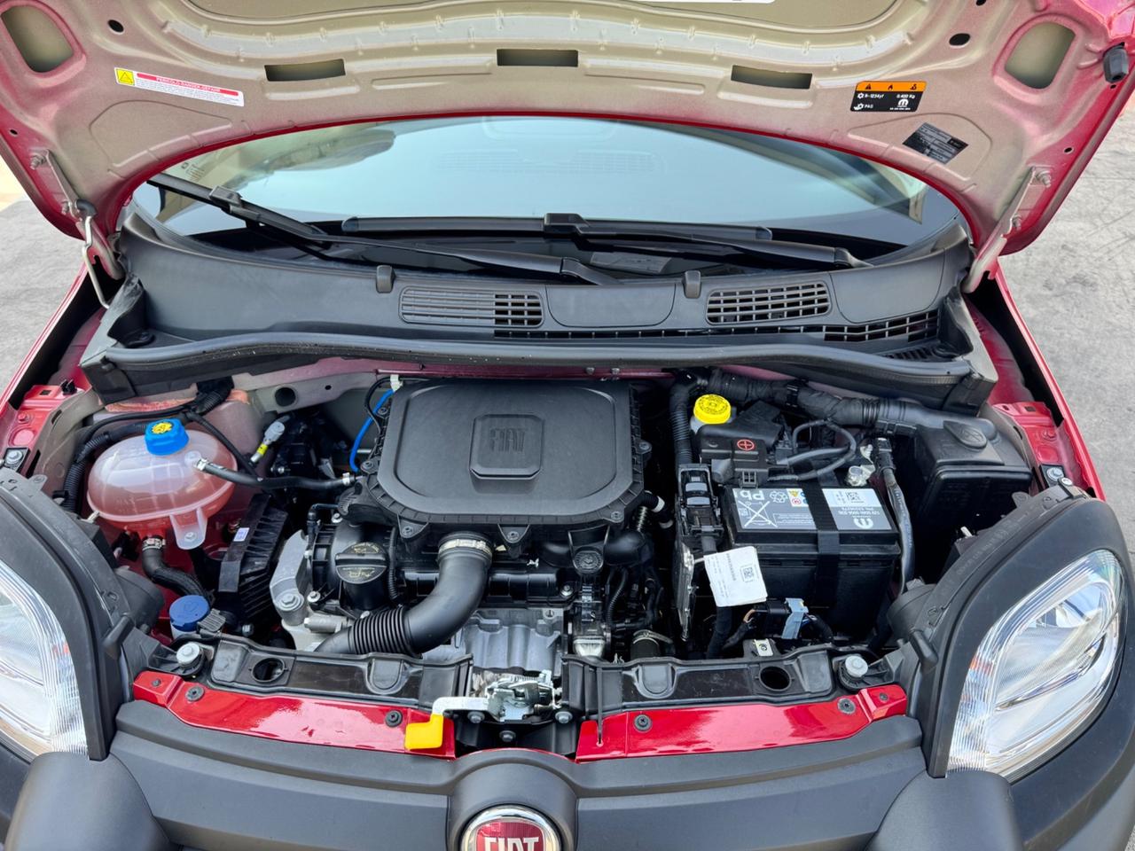 Fiat Panda Cross 1.0 FireFly S&S Hybrid in garanzia doppio allarme