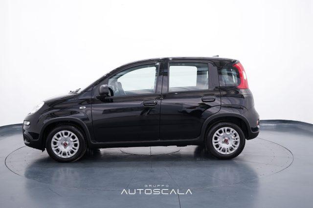 FIAT New Panda 1.0 FireFly S&S Hybrid Pack City