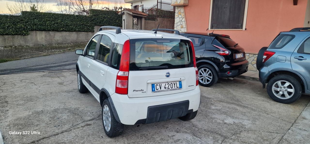 Fiat Panda 1.2 4x4 Climbing