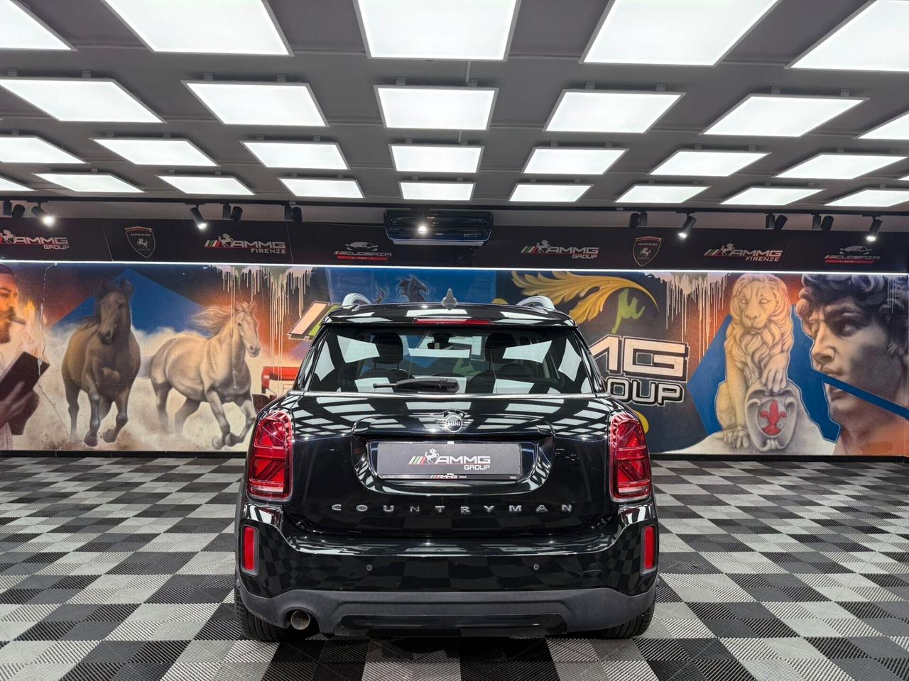 Mini One Countryman 1.5 D (329)