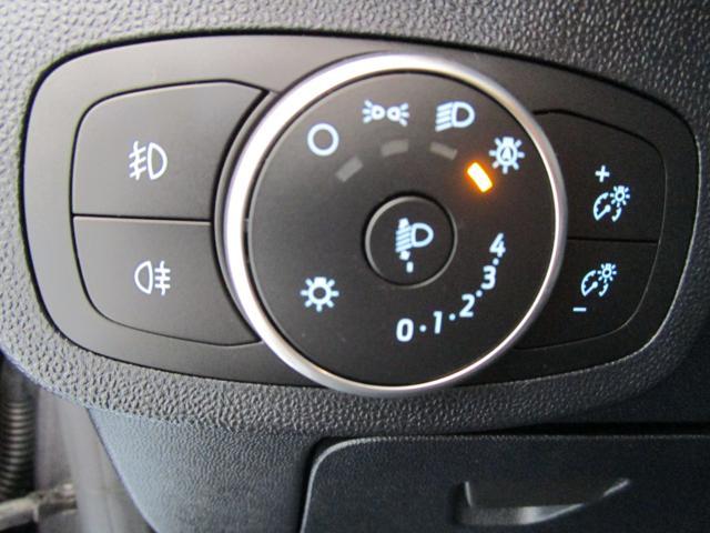 FORD Fiesta 1.0 Ecoboost Hybrid 125 CV 5 porte Titanium