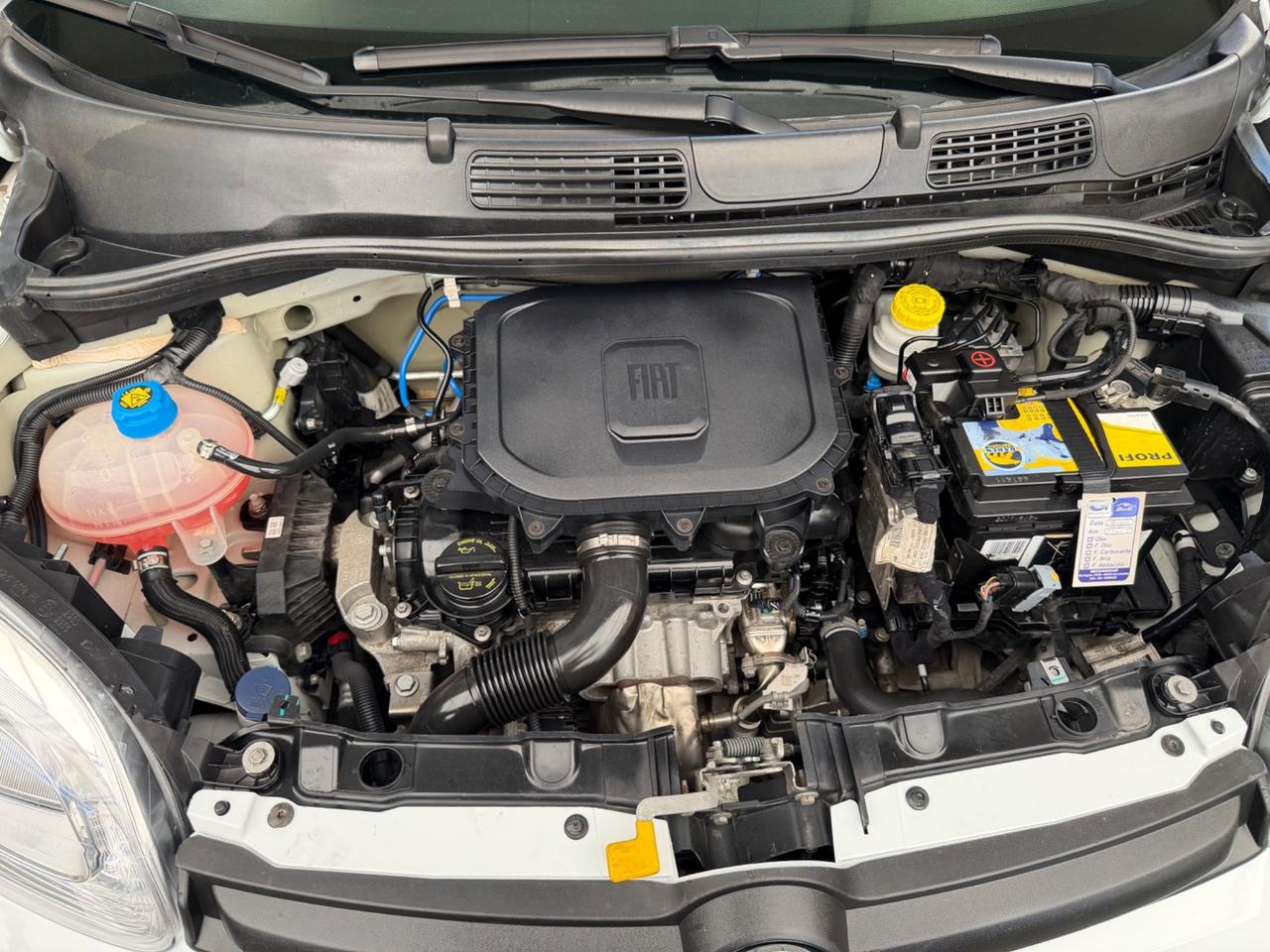 Fiat Panda 1.0 benzina 2022
