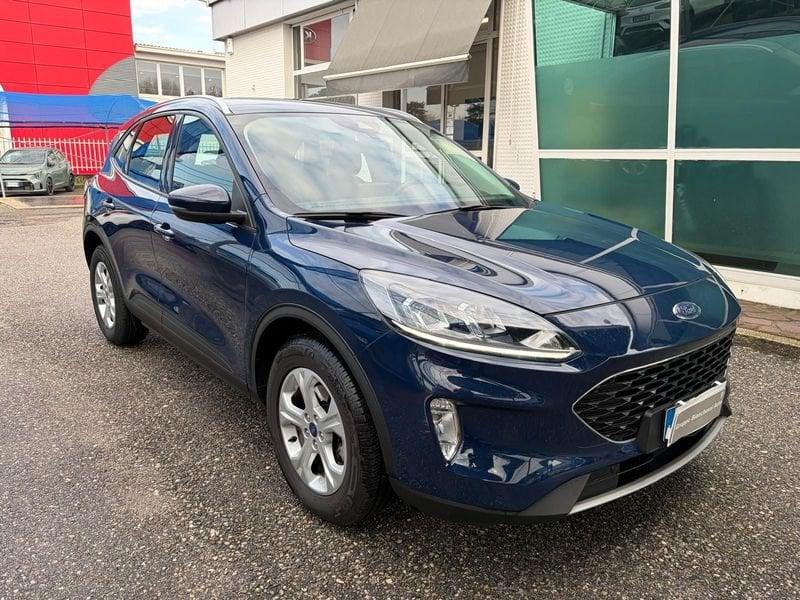 Ford Kuga Kuga 1.5 EcoBlue 120 CV 2WD Titanium Business