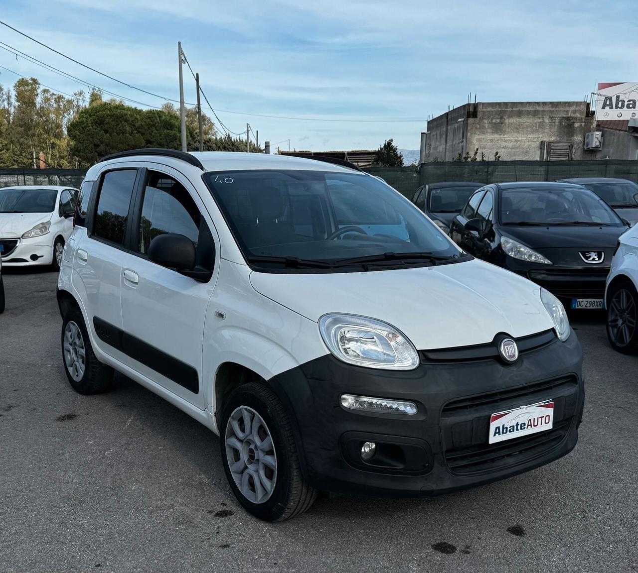 Fiat Panda 1.3 MJT S&S 4x4 Pop Climbing Van 2 posti