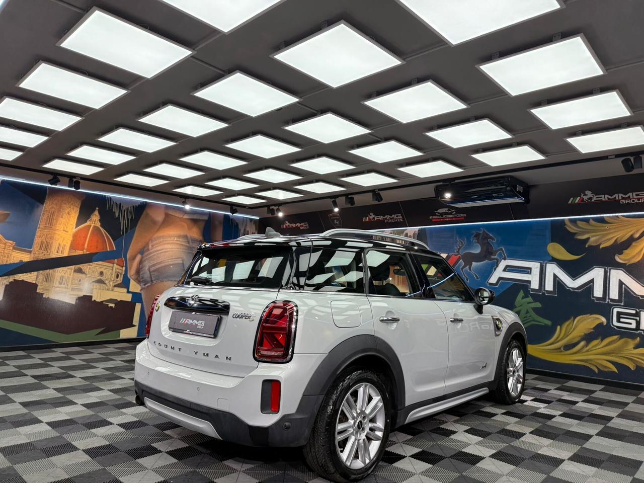 Mini Cooper 1.5 Countryman SE Hype ALL4 Automatica (314)