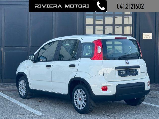 FIAT Panda 1.0 FireFly S&S Hybrid My24 TUA A 99 ?/mese*