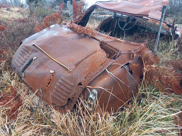 Fiat 600 Viotti