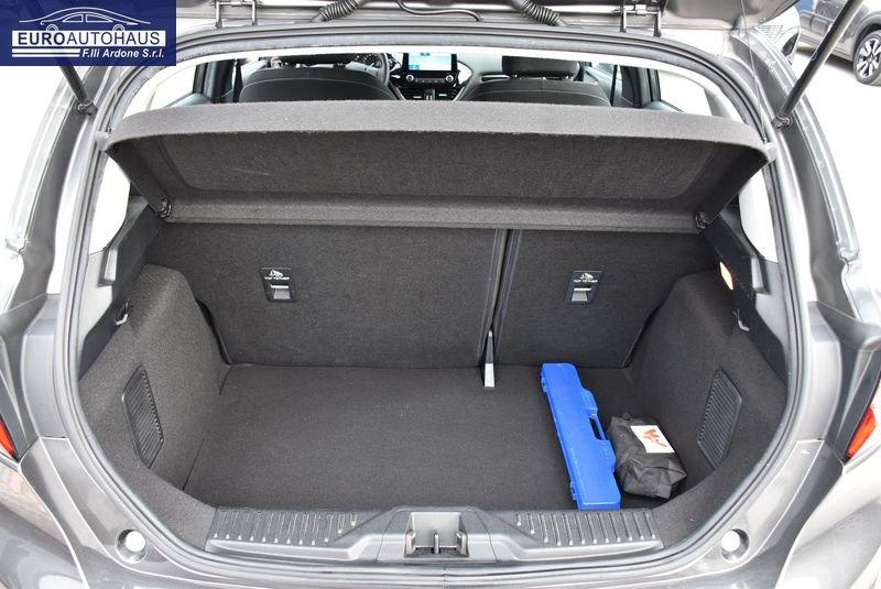 Ford Fiesta 1.0 Ecoboost Hybrid 125 CV 5 porte Titanium