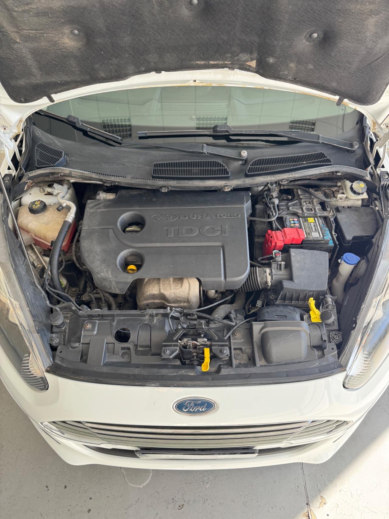 Ford Fiesta 1.5 TDCi 75CV 5 porte Titanium