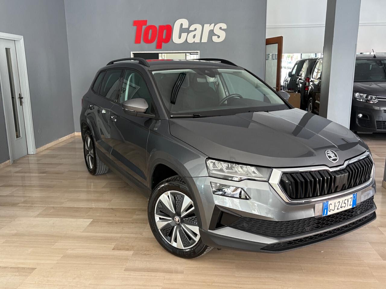 Skoda Karoq 2.0 TDI EVO SCR 115 CV DSG Executive
