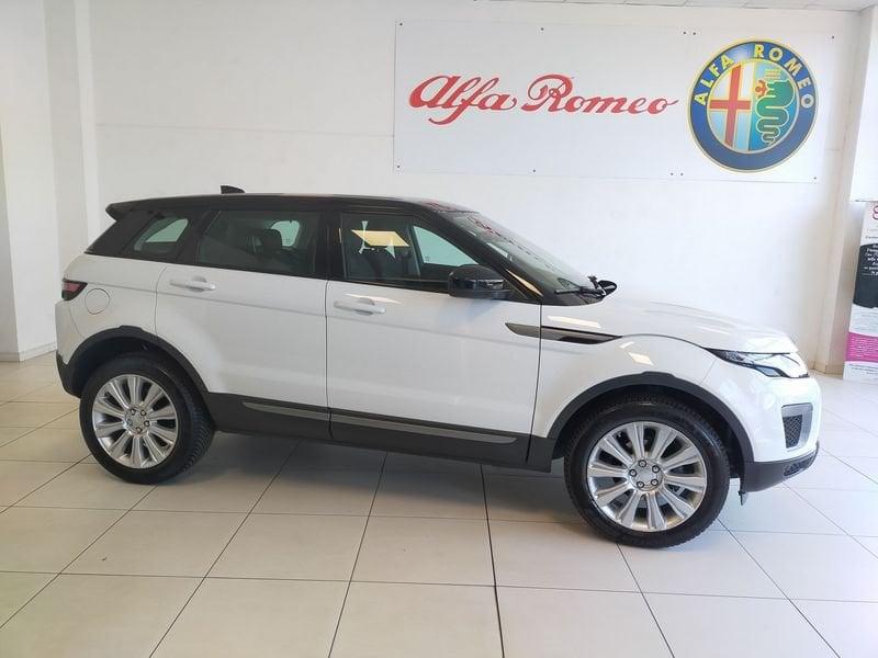 Land Rover RR Evoque Range Rover Evoque 2.0 TD4 150 CV 5p. SE