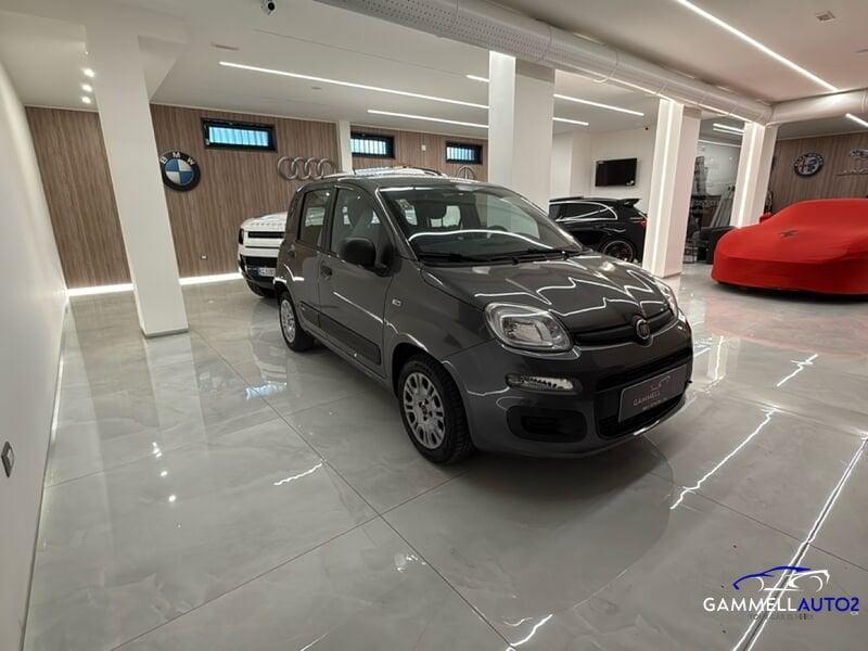 FIAT Panda 1.2 69cv E6 Easy